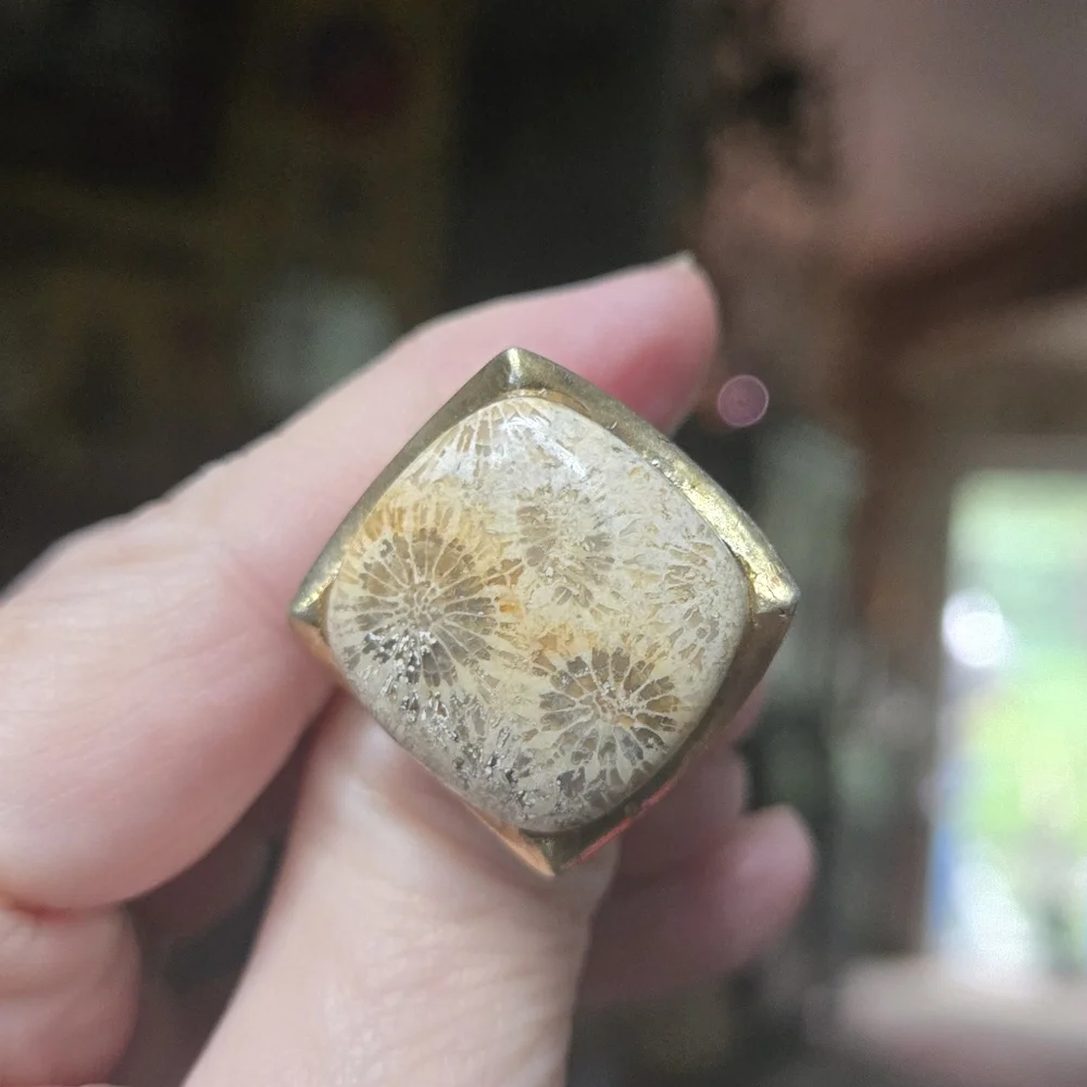 Coral Fossil Stone sterling rhodium & gold Ring sz9 - Picture 3 of 8